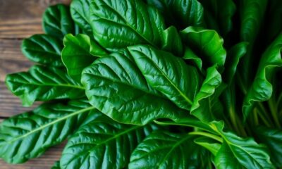 collard greens dish preparation