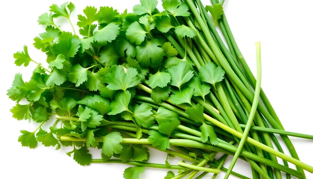 garnish using fresh herbs
