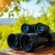 top binoculars for clarity