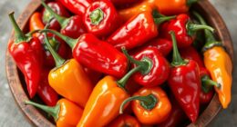 tunisian harissa pepper spectrum