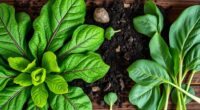 west african leafy greens nutrition