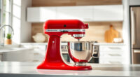 How to Clean a KitchenAid Professional 600 Mixer Safely
