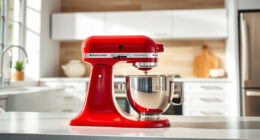 How to Clean a KitchenAid Professional 600 Mixer Safely