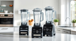 Is the Vitamix 5200 Worth It? Honest Review