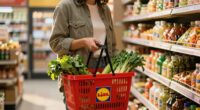 Lidl Ruckruf Noroviren