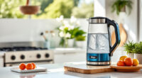 Ninja KT200BL Precision Temperature Kettle: Perfect for Summer Iced Teas