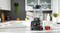 Vitamix Blender Burning Smell: Causes & Easy Fixes