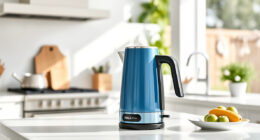 Beat the Summer Heat with Ninja KT200BL Precision Kettle Tips