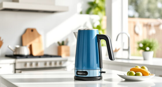 Beat the Summer Heat with Ninja KT200BL Precision Kettle Tips