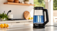 Ninja KT200BL Precision Kettle: The Summer Tea & Coffee Companion