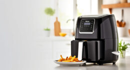 Summer Care & Troubleshooting for the Ninja Foodi 10 Quart DualZone Air Fryer